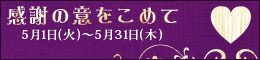金妻感謝月間