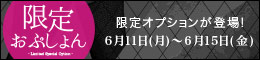 限定オプション