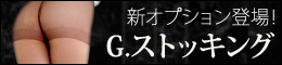 新オプション追加